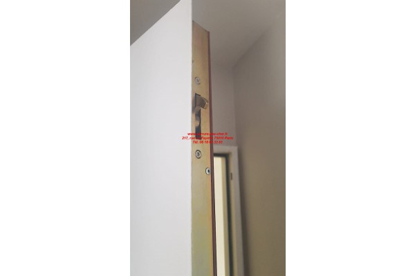 pene de fermeture fichet palieris